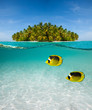 Foto: Palm island and underwater world Palm island and underwater world