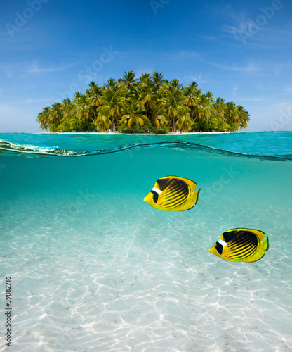 Photo: Palm island and underwater world Palm island and underwater world