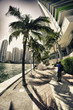 Miami Skyscrapers near Bayfront Park