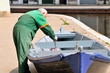 man painting the boat