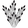 design_sperm_1c