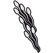 sperm_design_2c