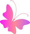 farfalla fantasy