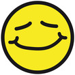 nice_smiley_2c