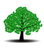 The tree image