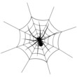 Spider6