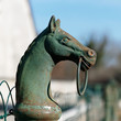 Horse tie 5