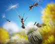 ants flying with umbrellas - seeds of dandelion, ant tales