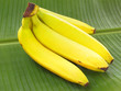 Bananen - Bananenblatt