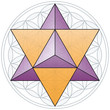 Merkaba and Flower of Life
