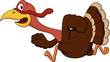 Turkey running