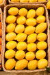 lemons