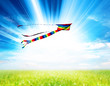 colourful summer kite