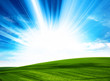 sunlight field