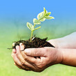Photo: new life new life