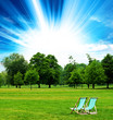 sunlight deck chairs
