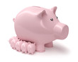 Sparschwein Wachstum