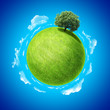 Eco concept. Empty space on green field and tree Eco concept. Empty space on green field and tree