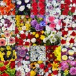 MOSAICO DE RAMO DE FLORES. HERMOSAS, FRESCAS, COLORIDAS MOSAICO DE RAMO DE FLORES. HERMOSAS, FRESCAS, COLORIDAS