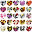 MOSAICO, DISEÑO, FLORES, CEREMONIA, BODA MOSAICO, DISEÑO, FLORES, CEREMONIA, BODA