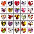 MOSAICO, DISEÑO, BODA, FLORAL, CEREMONIA, PASIÓN MOSAICO, DISEÑO, BODA, FLORAL, CEREMONIA, PASIÓN