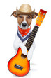country dog with guitar and cowboy hat