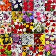 MOSAICO DE RAMO DE FLORES. COLORIDAS, HERMOSAS, VARIAS MOSAICO DE RAMO DE FLORES. COLORIDAS, HERMOSAS, VARIAS