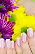 French manicure made