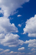わた雲