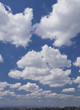 わた雲