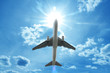 fliegen