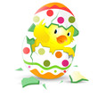 Cute Easter Chicken in Egg Shell Cute Easter Chicken in Egg Shell