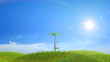 Growing up tree animated background. HD.