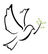 Dove Peace Vector