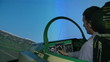 Aviation simulator