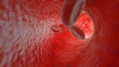 Red blood cells flowing in artery. HD. Looped.