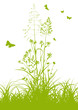 Blumenwiese, Pflanzen, Gras, Wiese, Feldwiese, Sommer, Frühling
