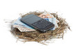Money and phone in nest isolated on white