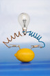 lemon and lamp on white background