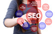 Illustration: Business lady pushing SEO process on the whiteboard. Business lady pushing SEO process on the whiteboard.