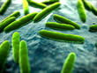 3d rendered scientific illustration of some bacteria