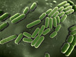 3d rendered scientific illustration of some bacteria