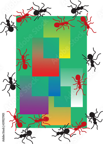 Illustration: Fame wit ant Fame wit ant