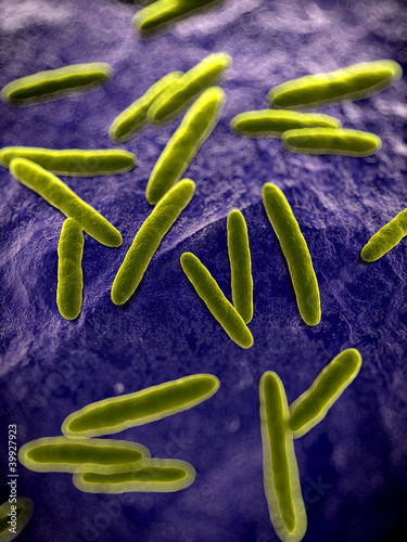 Illustration: 3d rendered scientific illustration of some bacteria 3d rendered scientific illustration of some bacteria