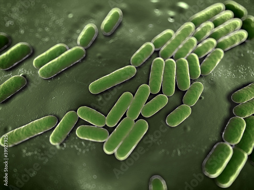Illustration: 3d rendered scientific illustration of some bacteria 3d rendered scientific illustration of some bacteria