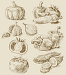 vegetables set