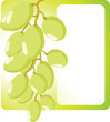 Green grapes