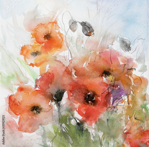 Illustration: mohnblumen mit kapseln mohnblumen mit kapseln