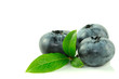 Drei Heidelbeeren