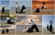 aikido